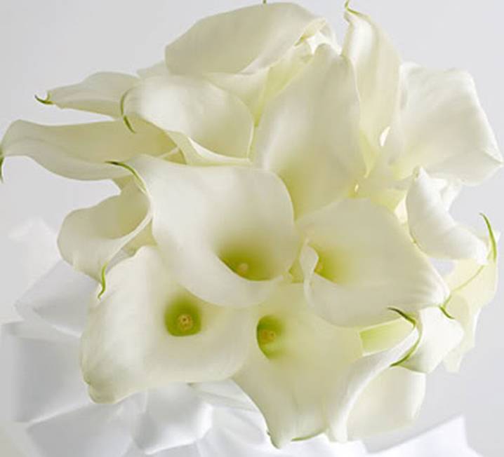 Bridal Bouquets003